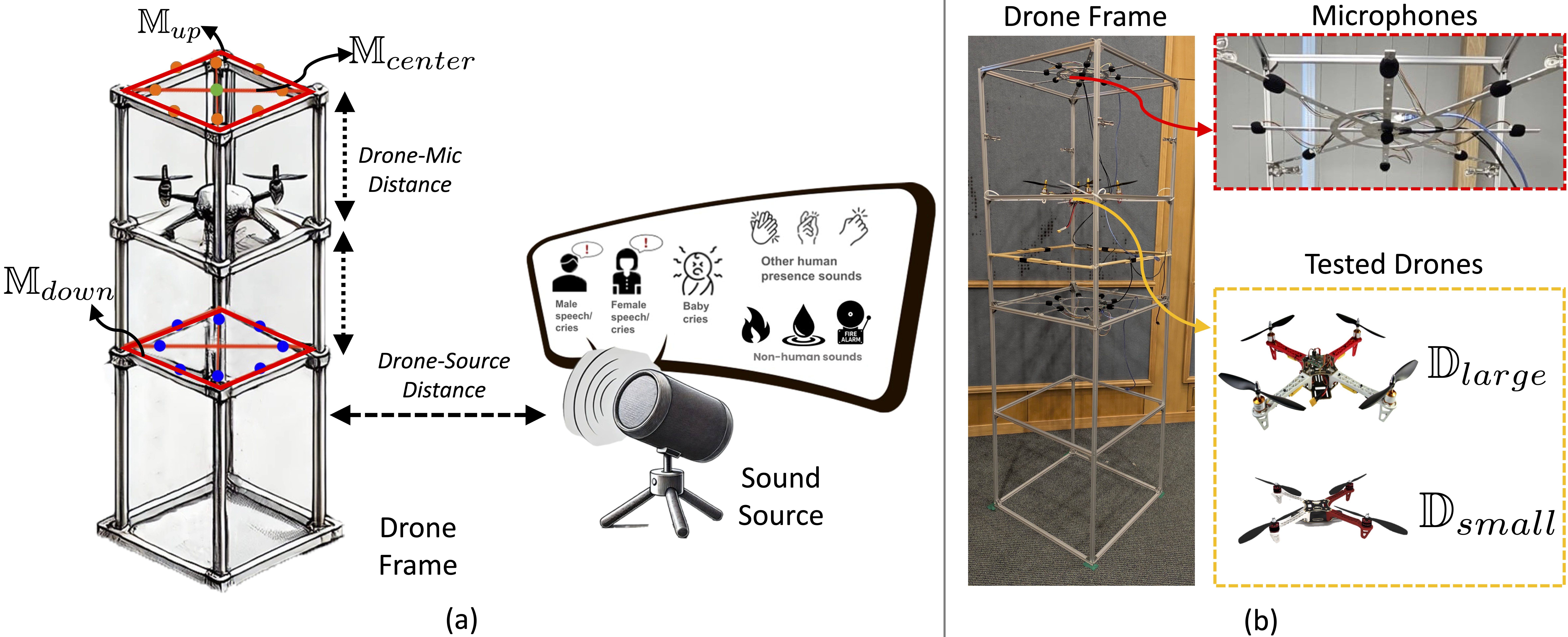 Data Collection Setup